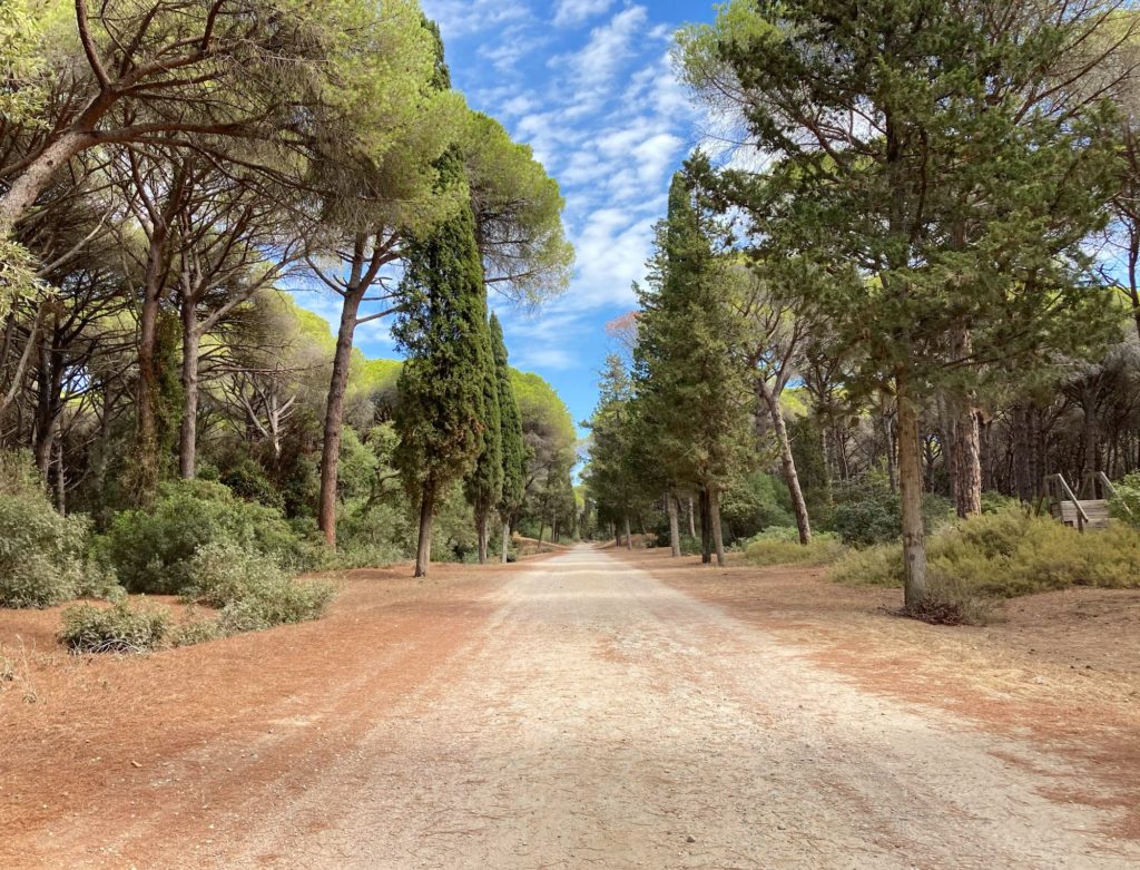 Feniglia - natural reserve path